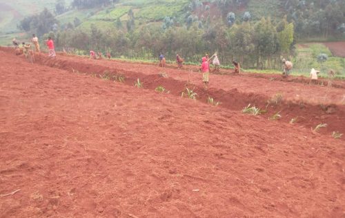 WhatsApp Image 2025-12-30 at 06.13.23 (3)