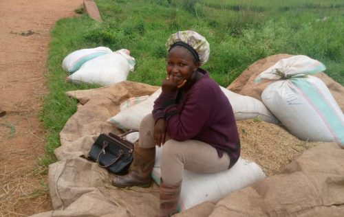 WhatsApp Image 2026-02-18 at 11.39.44