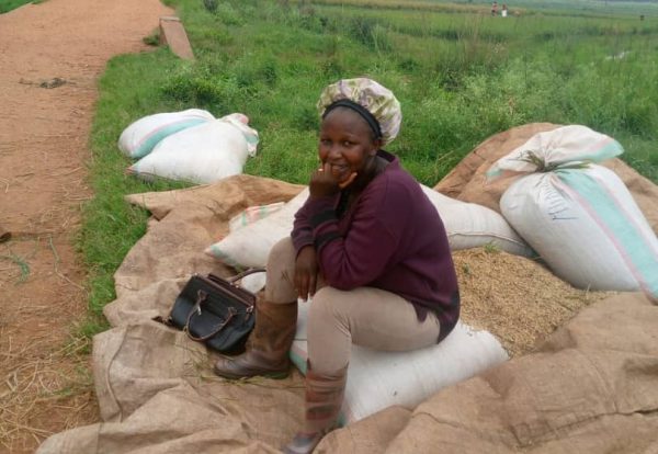 WhatsApp Image 2026-02-18 at 11.39.44